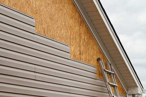 Professional Siding Contractor technician working in Lithia, FL